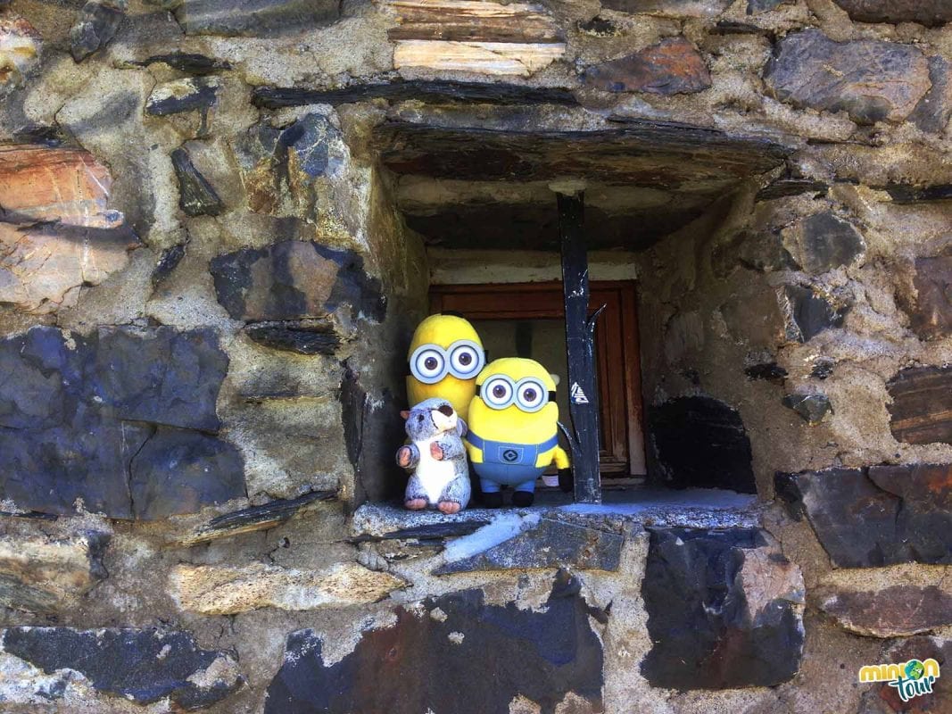 Los Minions con su nueva compañera de aventuras