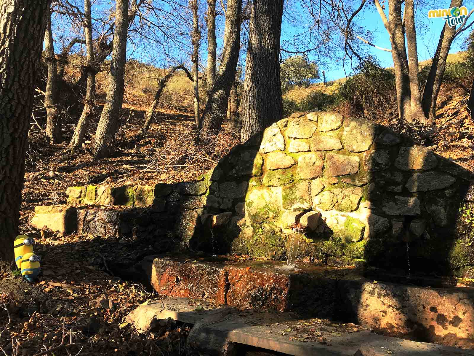 La Fuente de los Tres Caños en Monfragüe