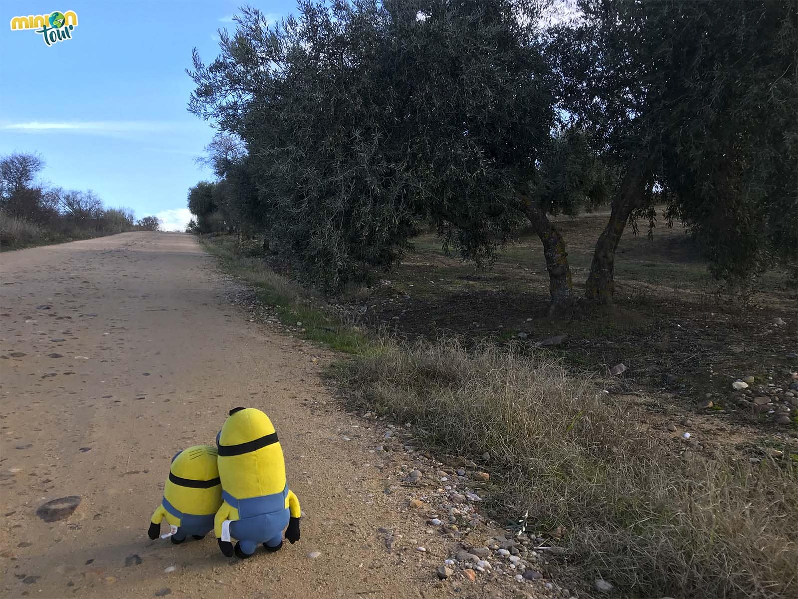 Camino de las Barrancas de Burujón