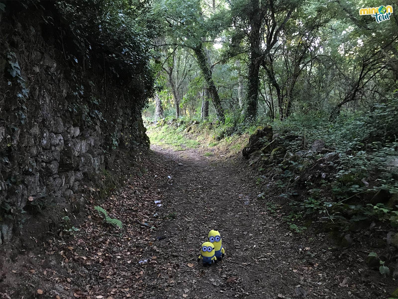 Otro rincón del sendero