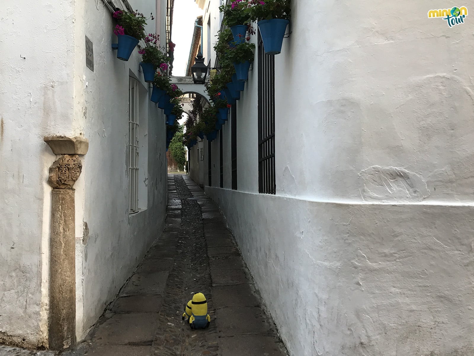 En Córdoba tienes que ver la Calleja de las Flores