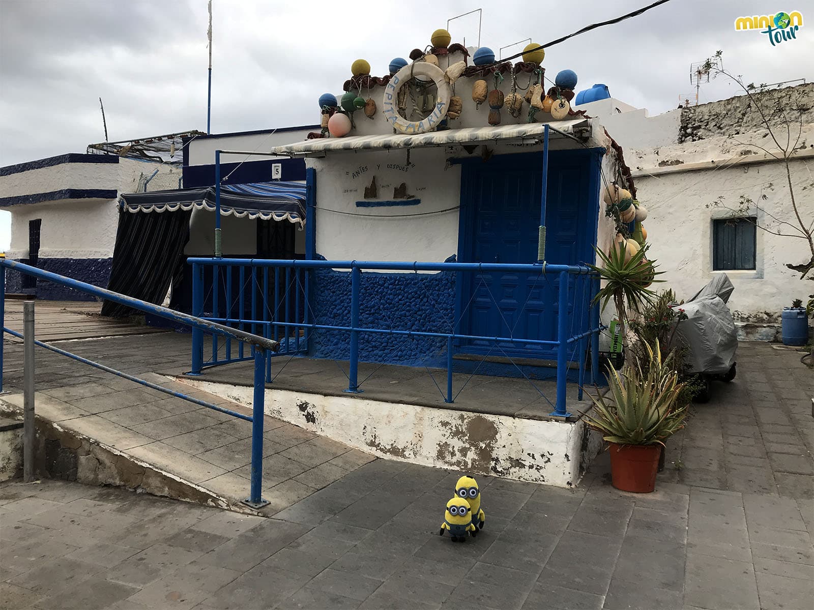 Fin de nuestra ruta por el norte de Gran Canaria en Puerto de las Nieves