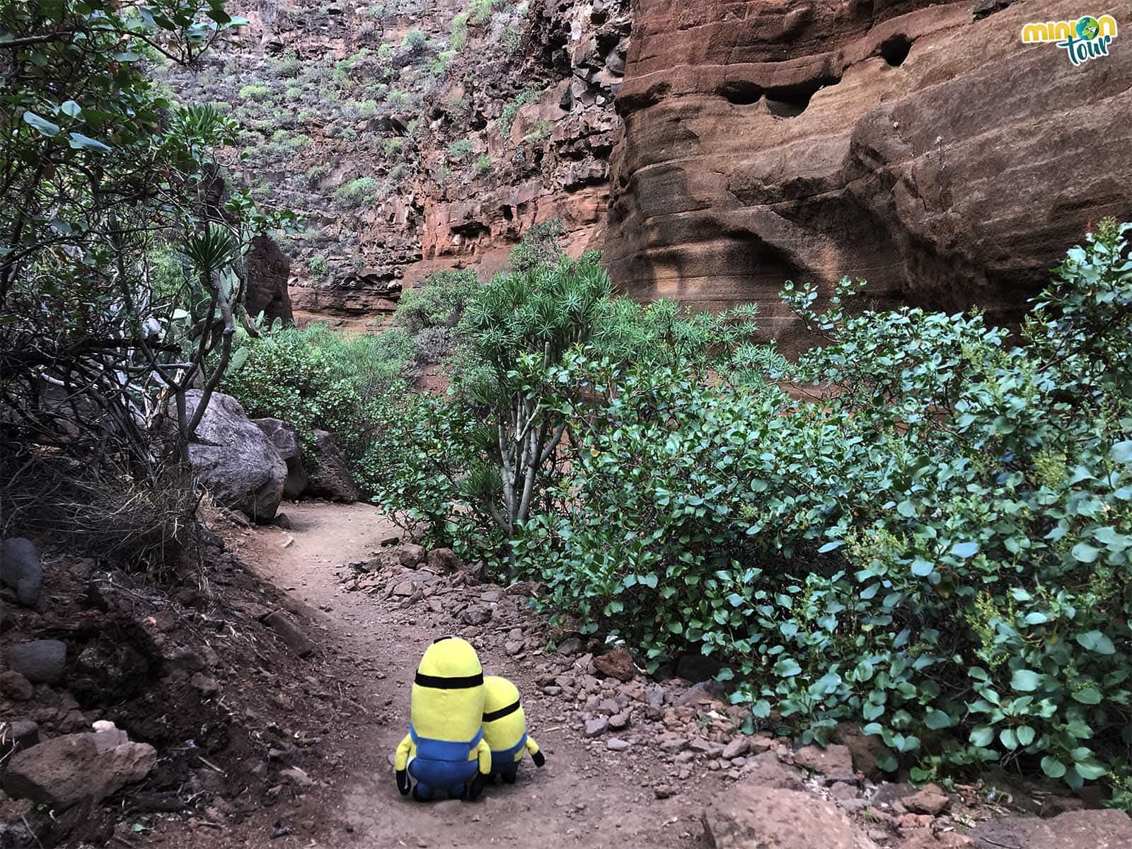 El Antelope Canyon de Gran Canaria es el Barranco de Barafonso