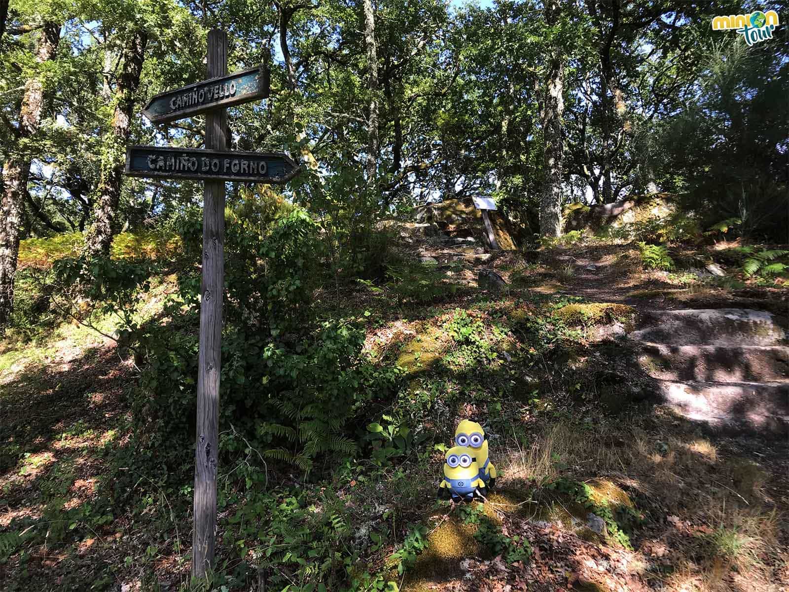 Los alrededores del Monasterio de Santo Estevo de Ribas de Sil