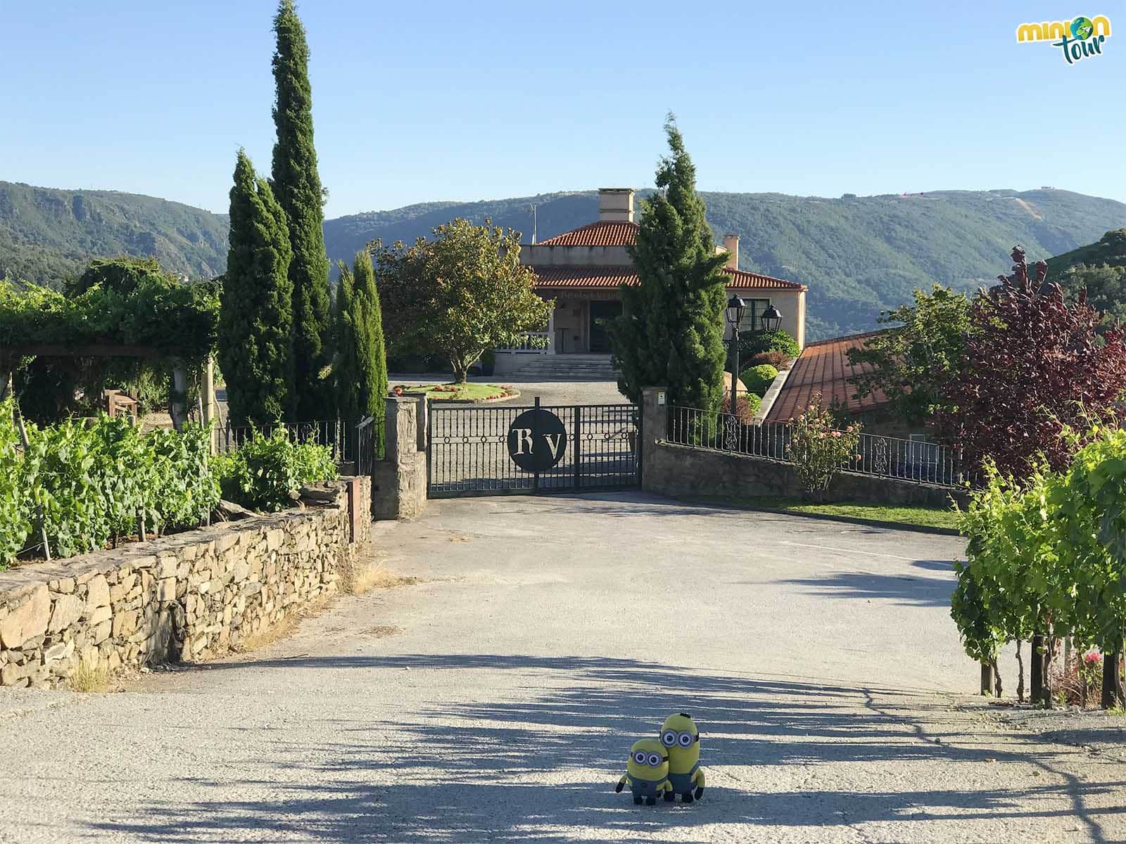 Ya nos hemos mimetizado con las bodegas