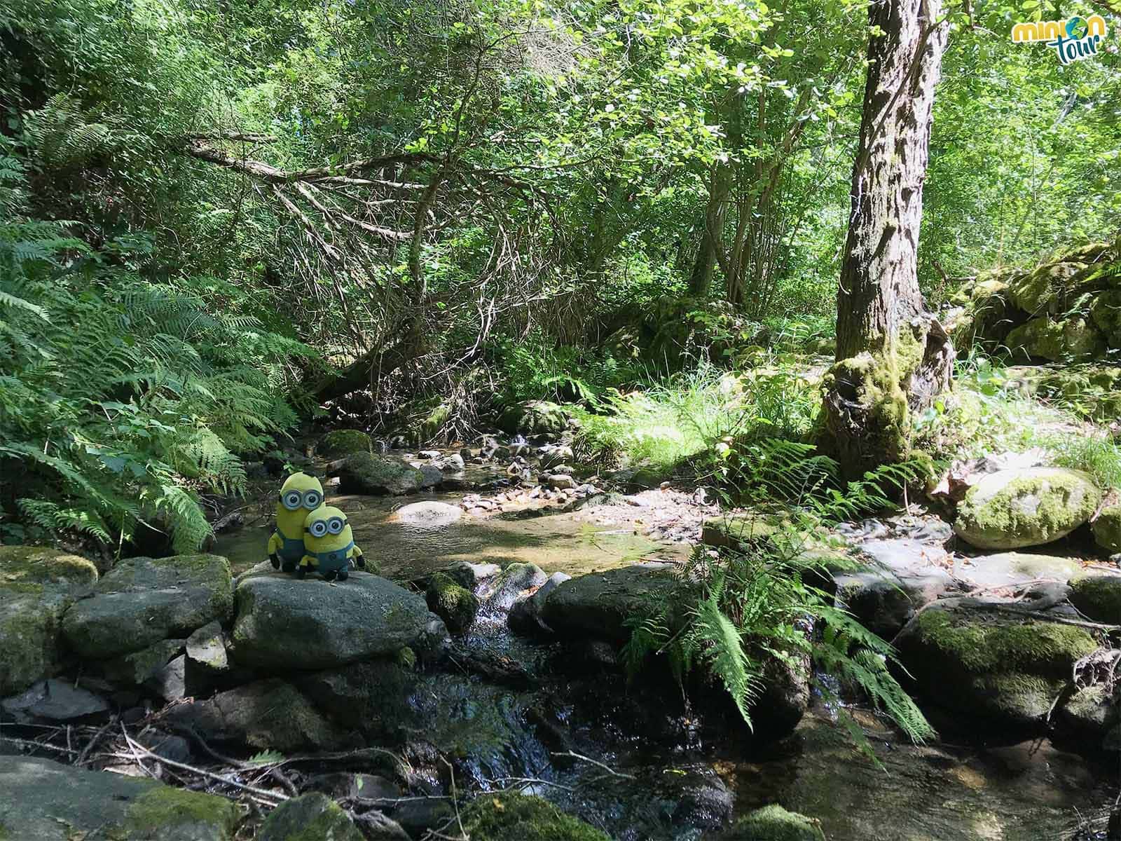 En algunos puntos de la ruta hay que cruzar el río