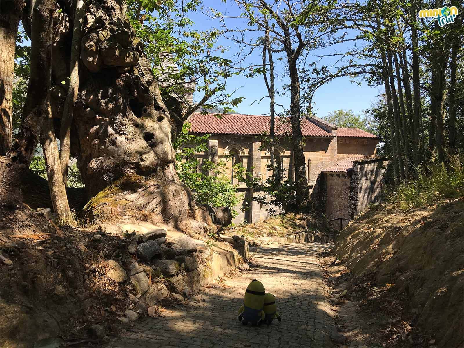 Empezando nuestra visita al Monasterio de Santa Cristina de Ribas de Sil