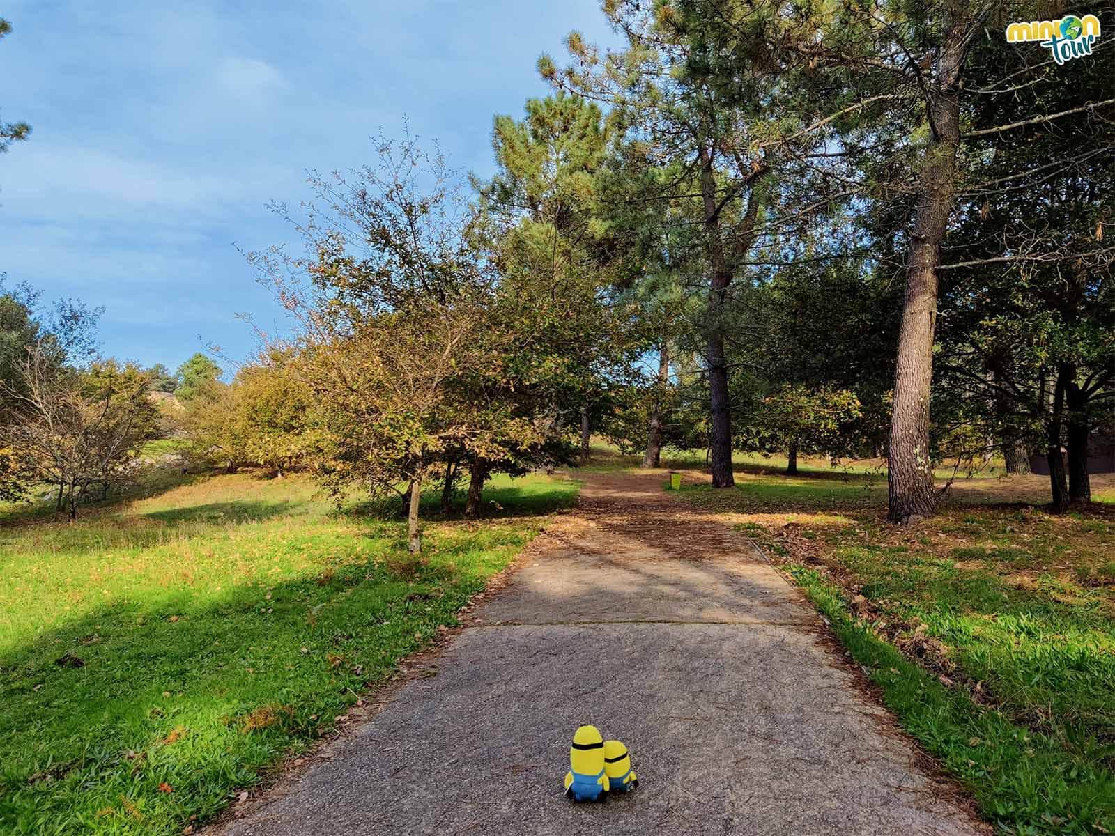 Minions paseando por el Parque Arqueológico del Arte Rupestre de Campo Lameiro