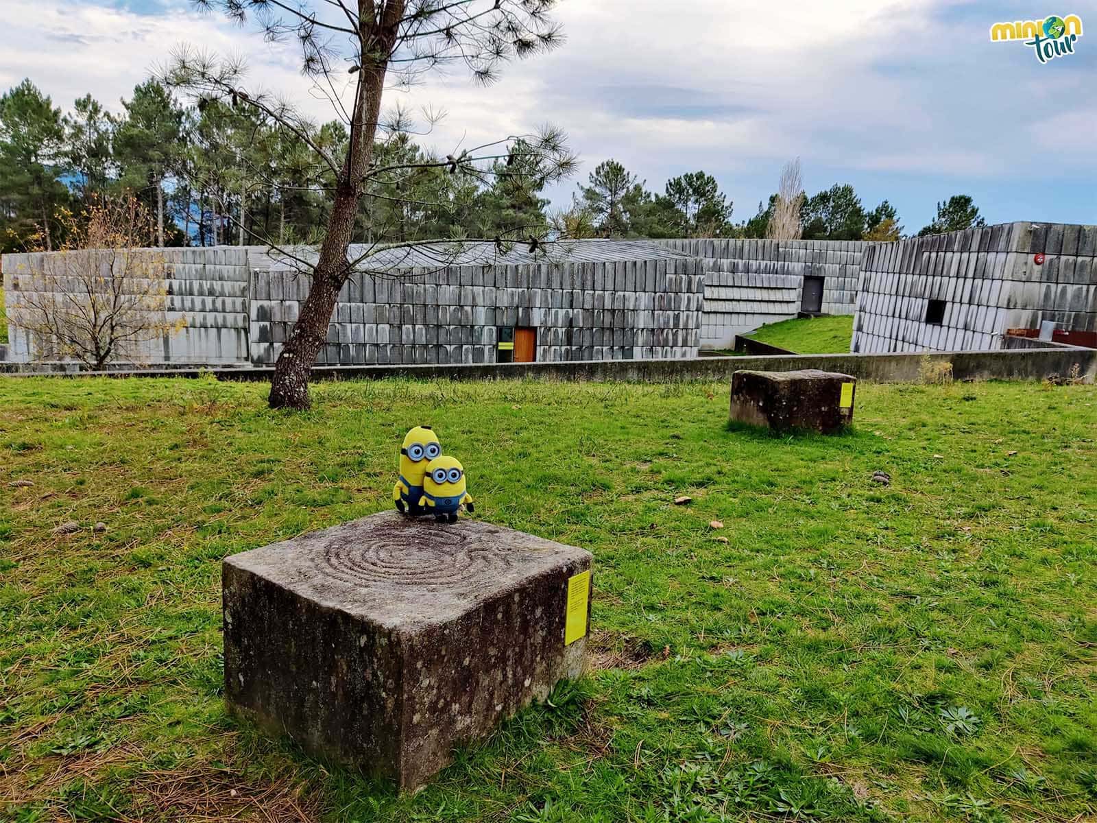 Estos son los únicos petroglifos que puedes tocar en el Parque Arqueológico del Arte Rupestre de Campo Lameiro