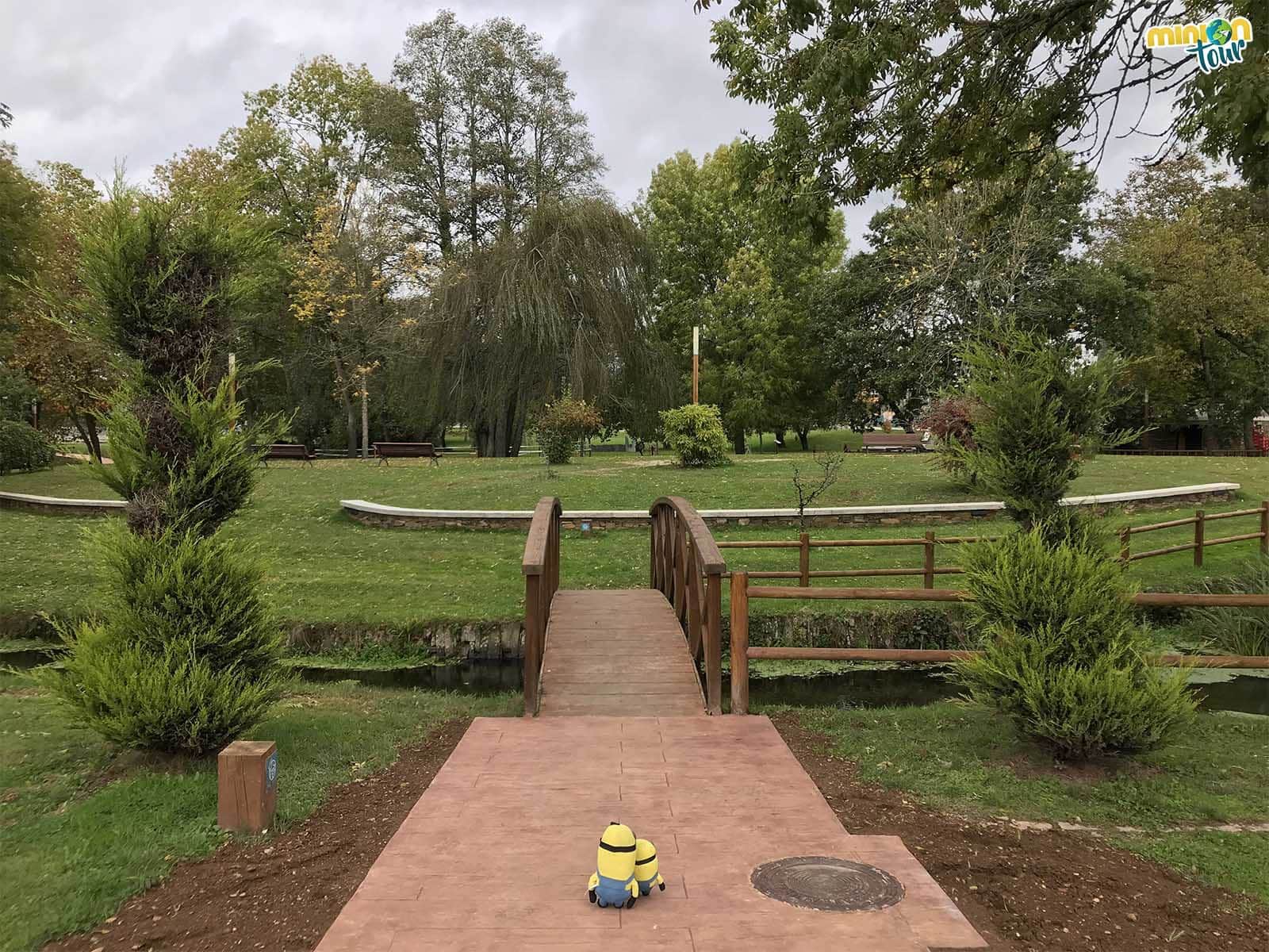 Paseando por el Parque del Profesor Río Barja