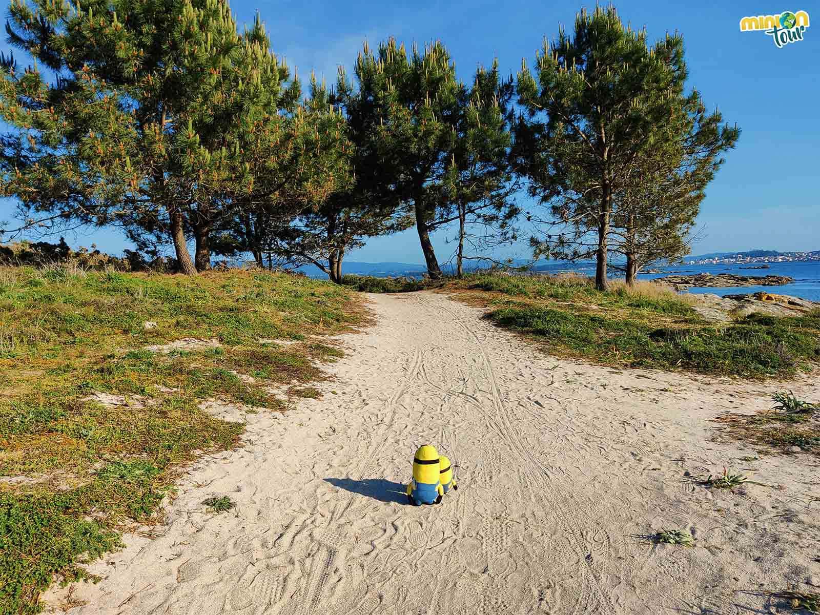 El Sendero de Os Pilros es una chulada y un imprescindible que ver en A Illa de Arousa