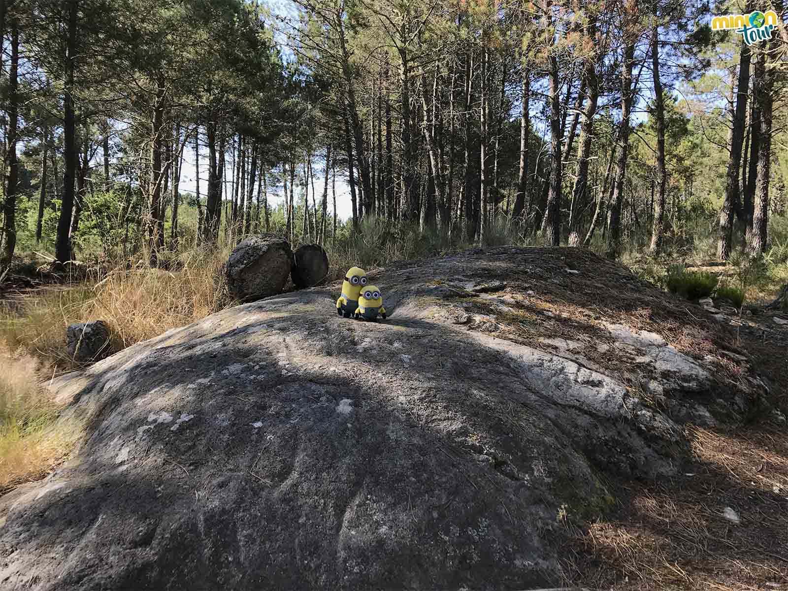 En nuestra ruta por los mejores miradores de la Ribeira Sacra nos hemos encontrado un petroglifo