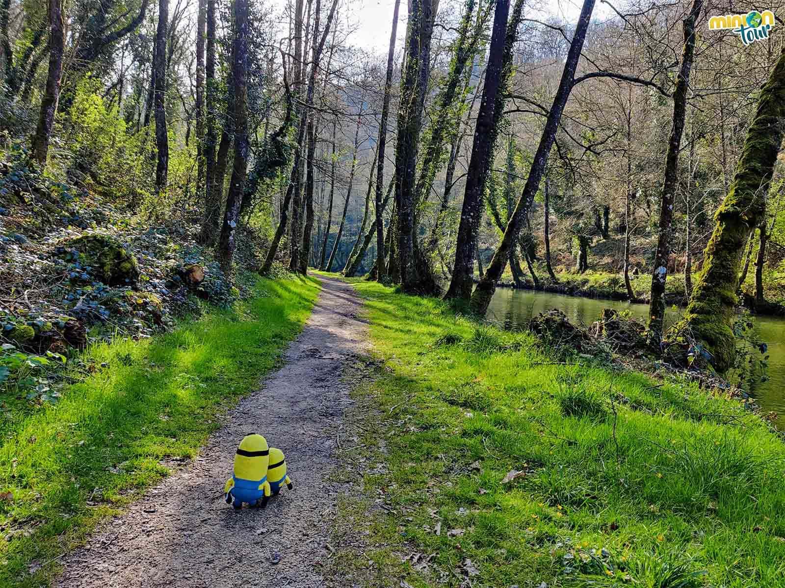 Nos encantan las rutas y esta es una de las que puedes hacer en Sarria