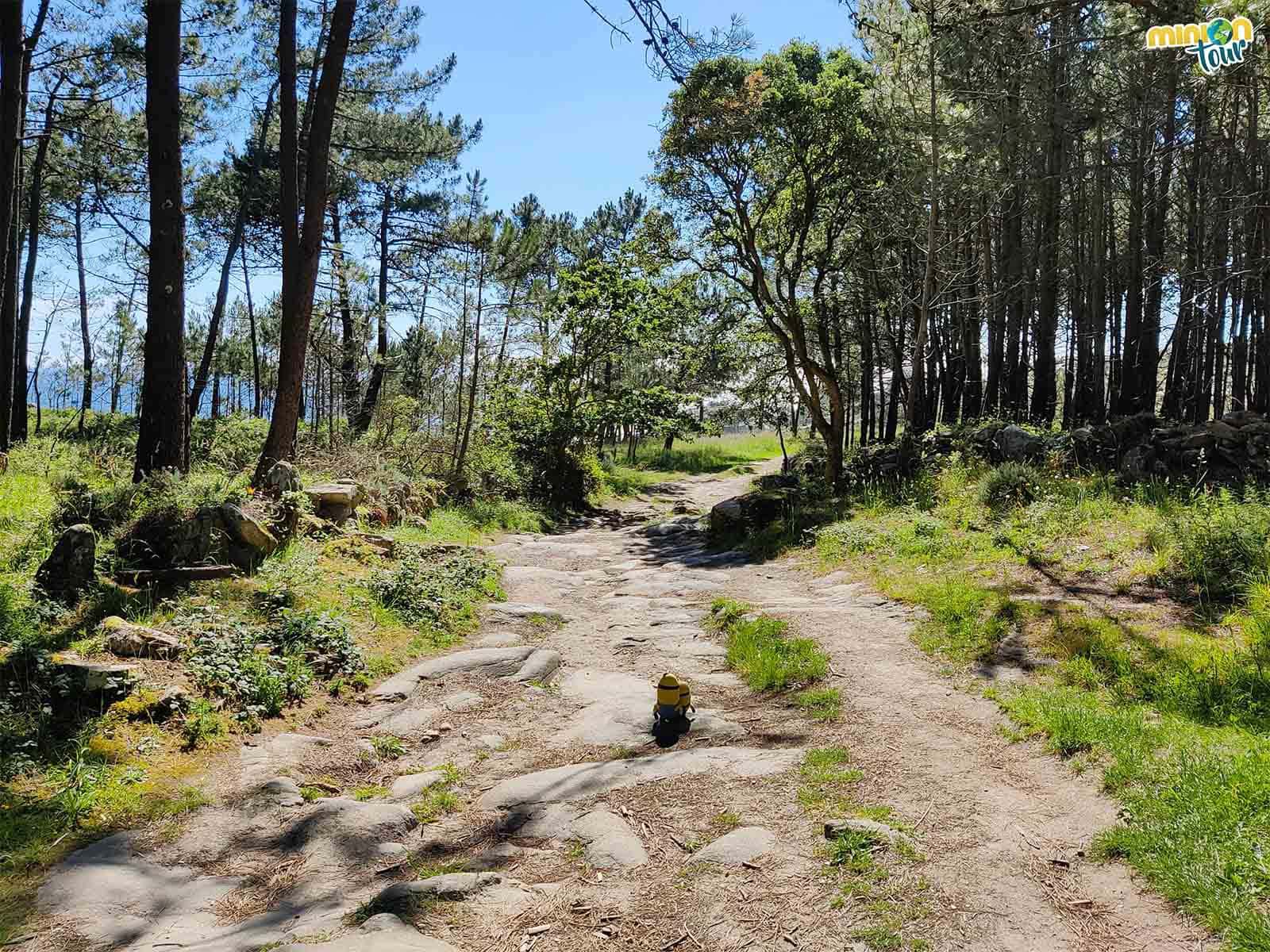 Estamos disfrutando de la ruta hacia el Castro de Baroña