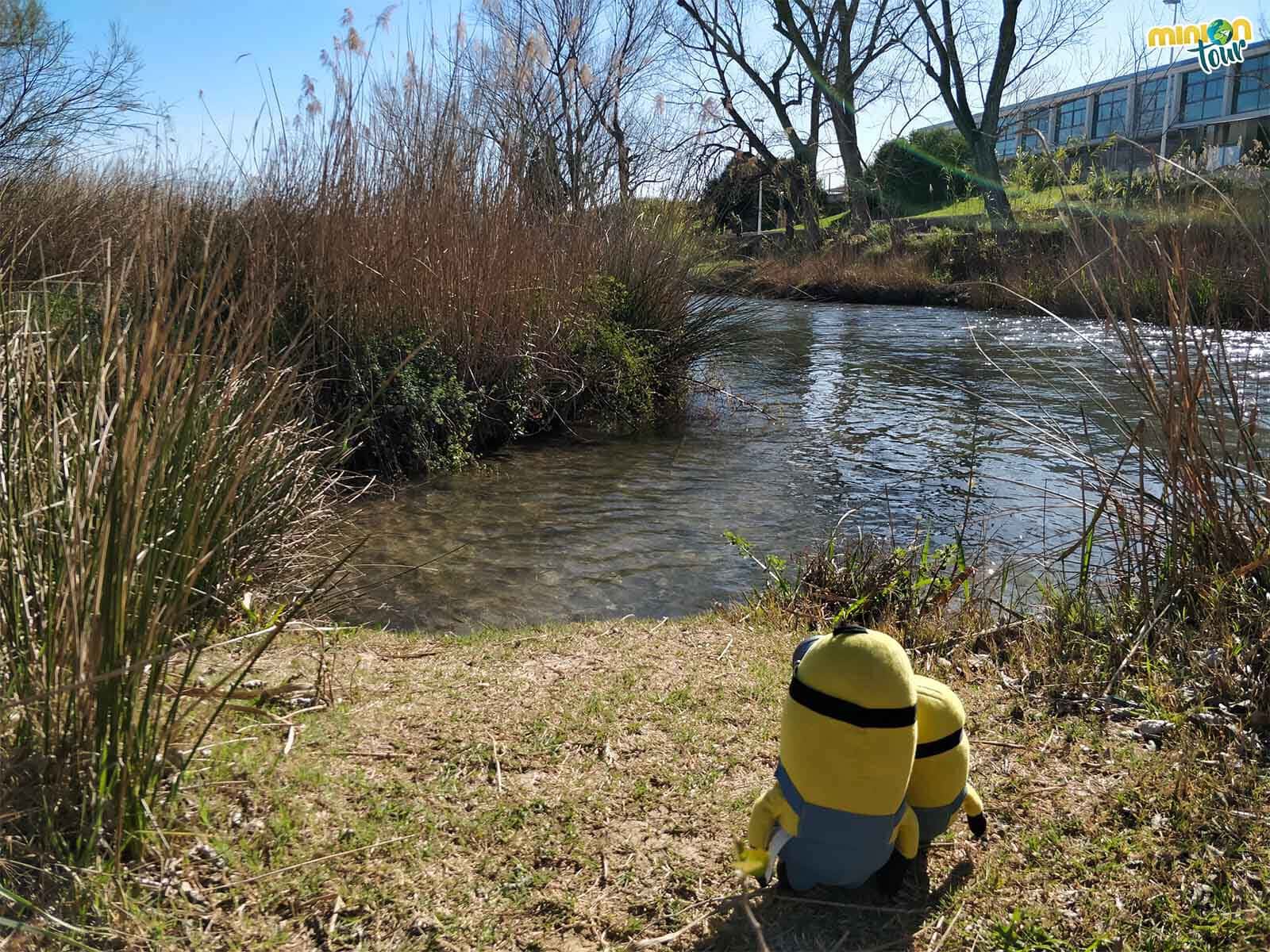 Paseando por la ribera del Túria en Riba-roja de Túria