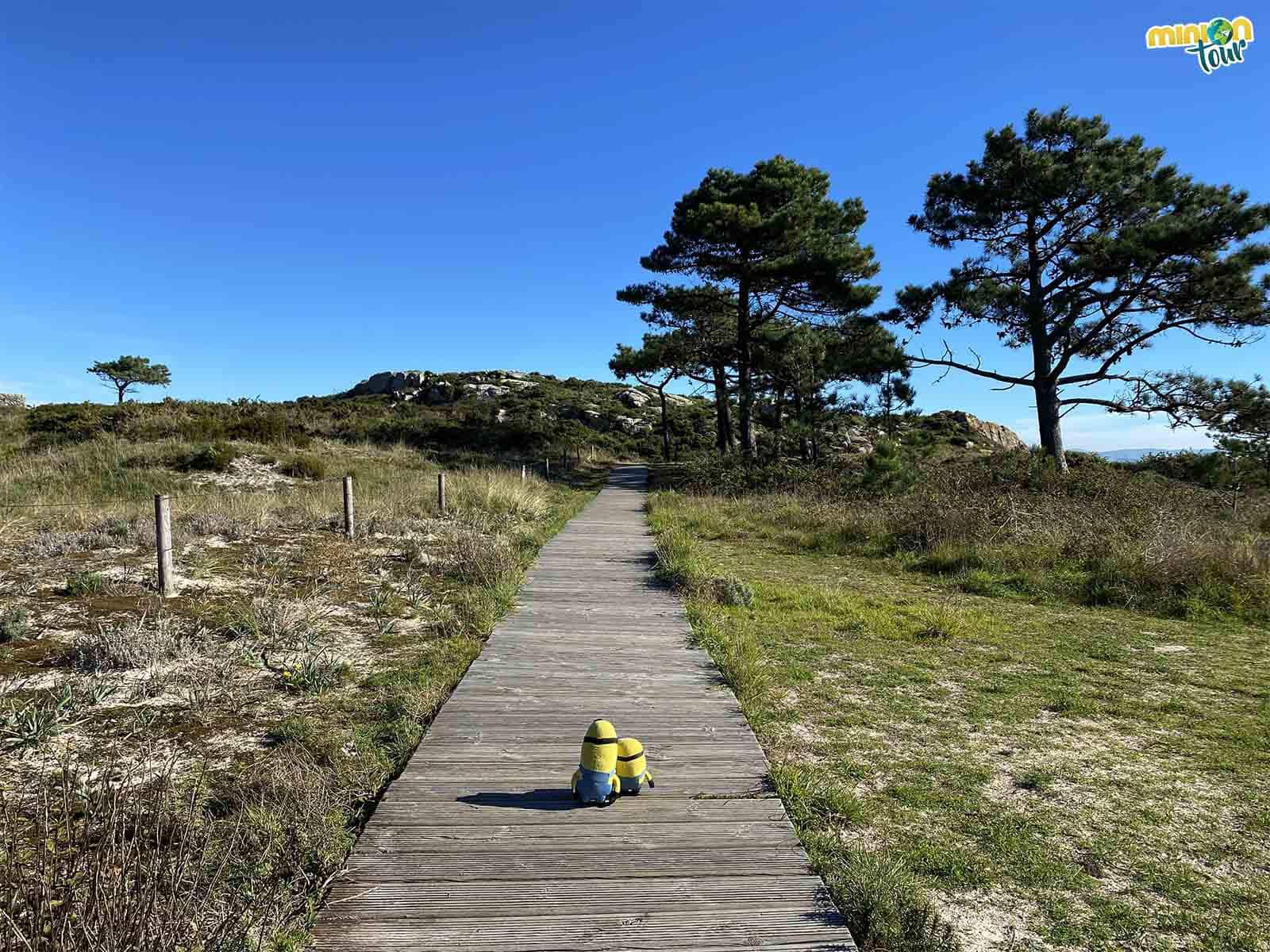 Estamos buscando la Playa de Figueiras en las Islas Cíes