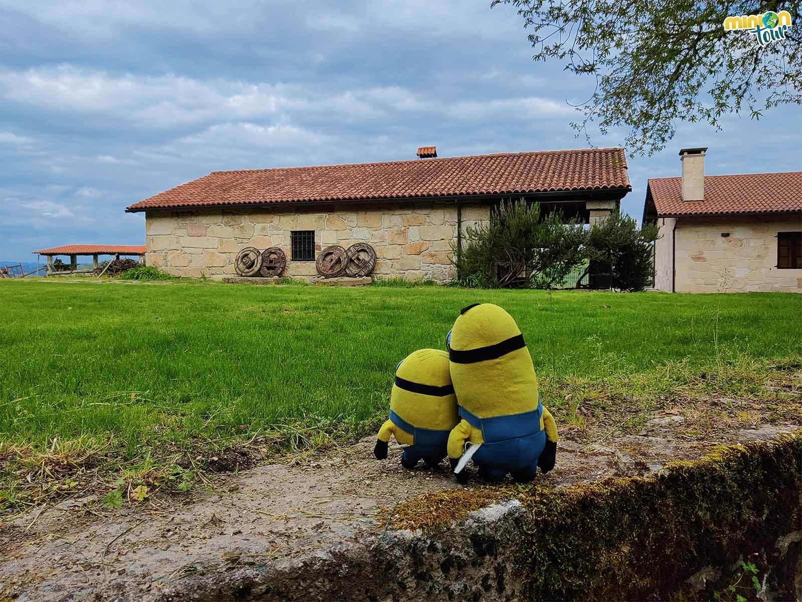 Minions de visita a la Bodega Finca Scintilla en la Ribeira Sacra