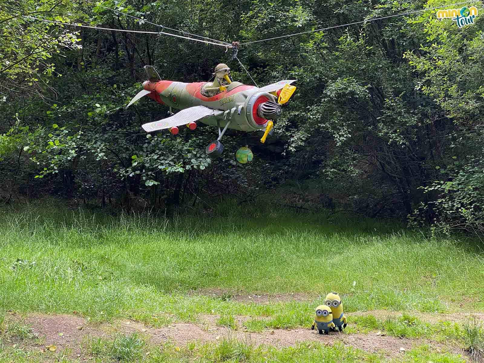 El pájaro aviador también se ha hecho nuestro amigui