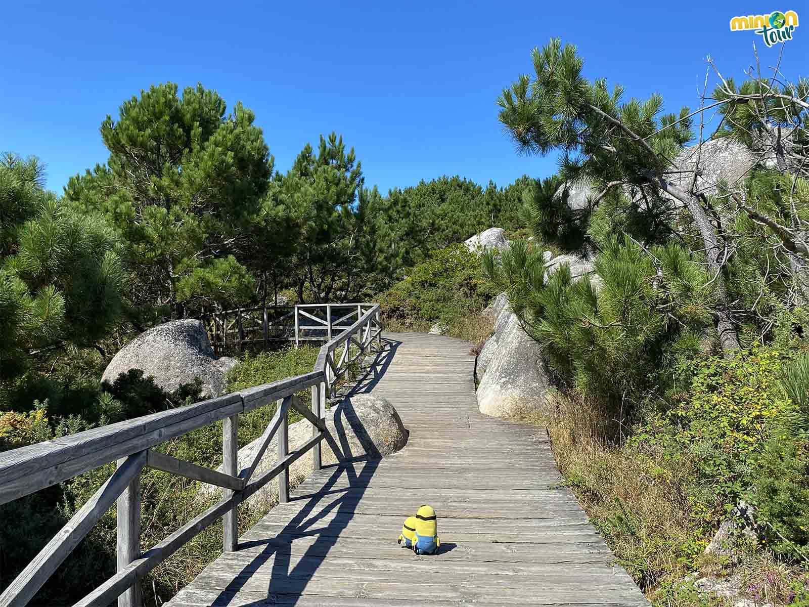 En las zonas con arbolitos nos paramos a descansar