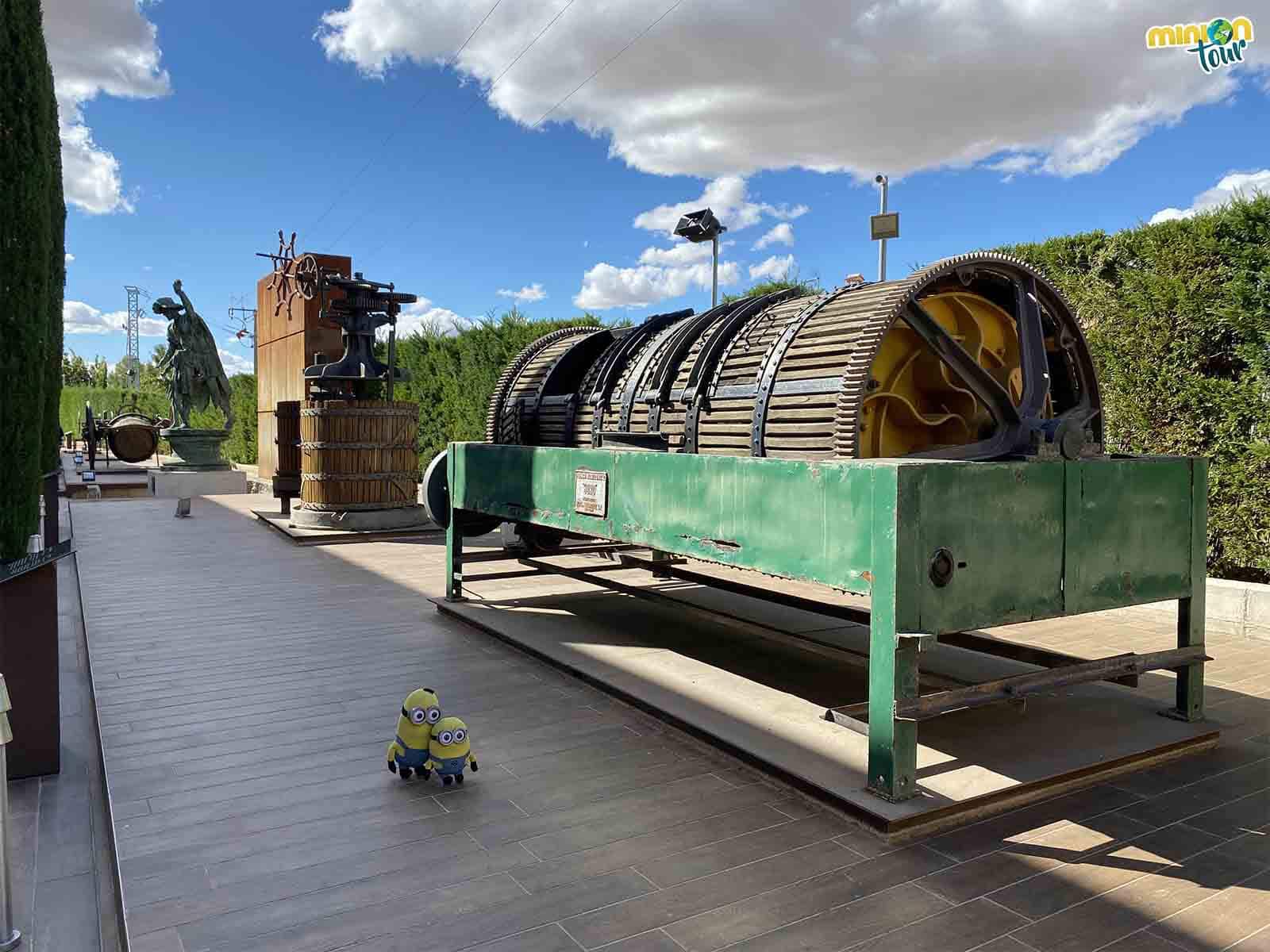 Visitando la bodega de Pagos del Rey aprenderás un montón de cositas