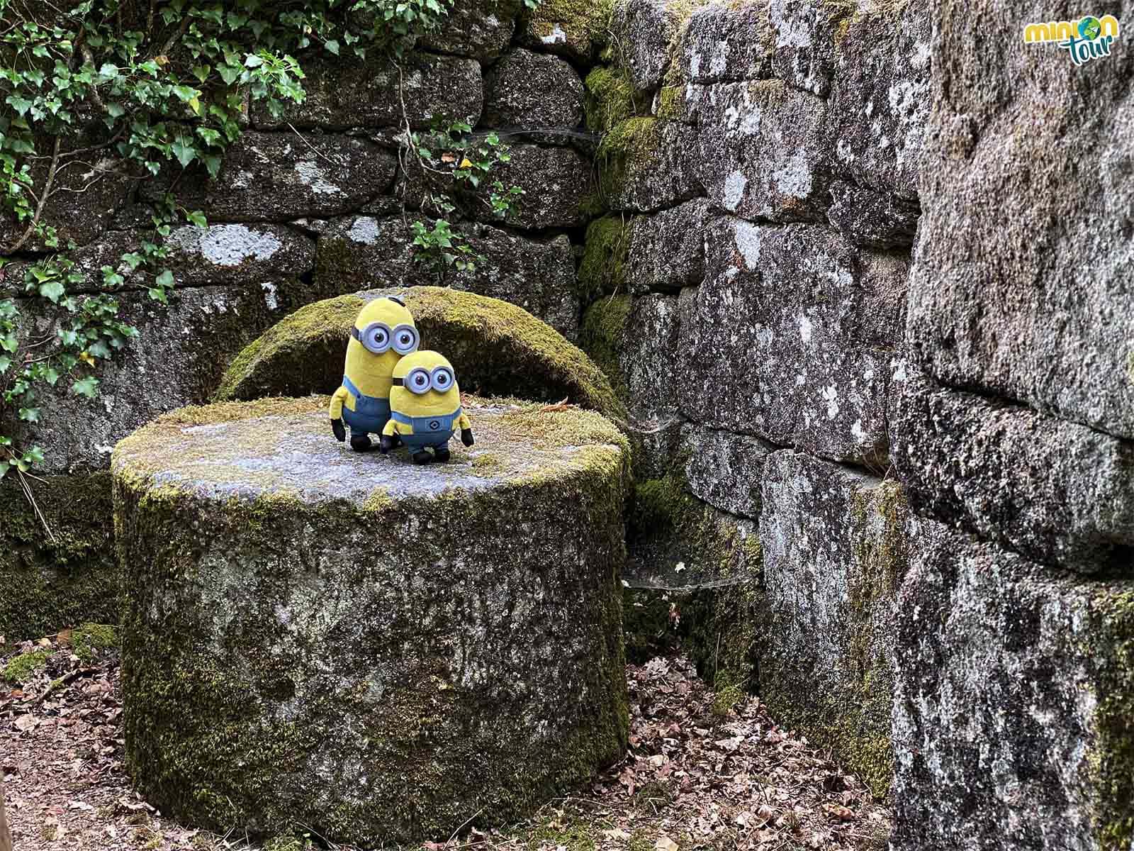 Nos vamos de ruta por los molinos de Vilameá