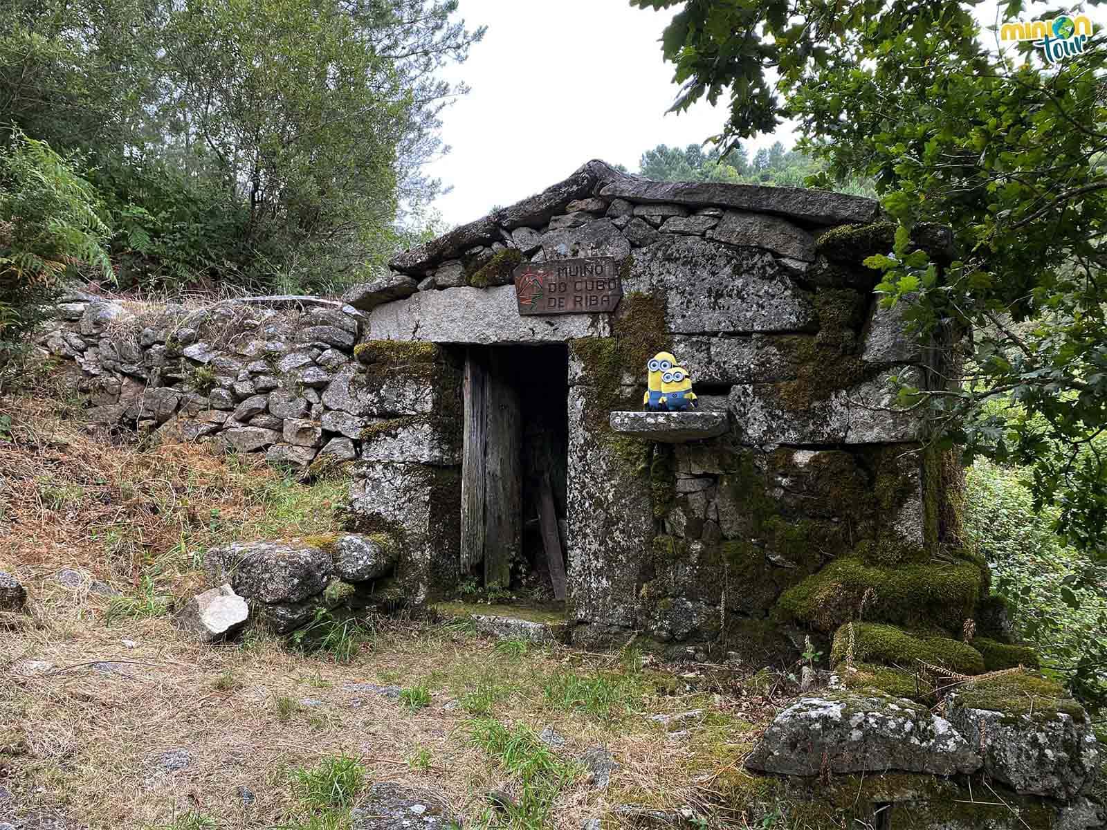 Este es el Molino del Cubo de Riba de los molinos de Vilameá