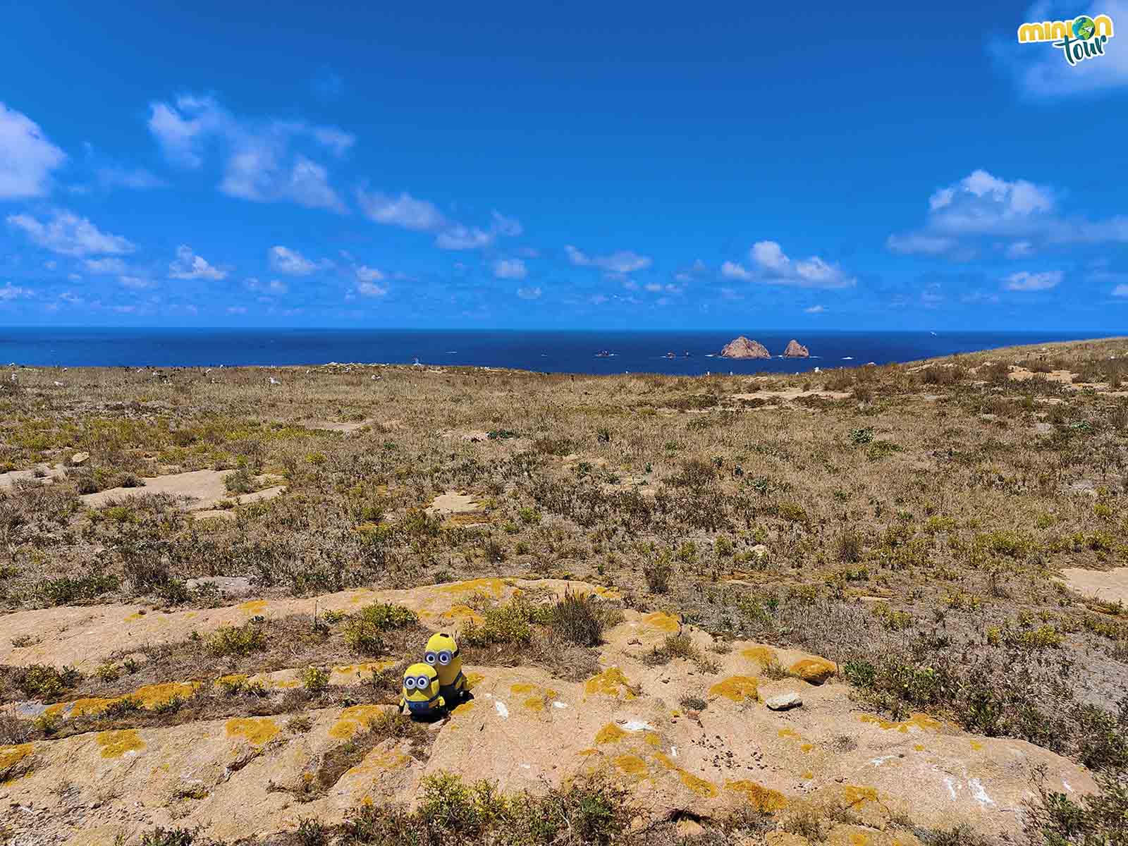 Las rutas de senderismo de las Islas Berlengas molan mucho