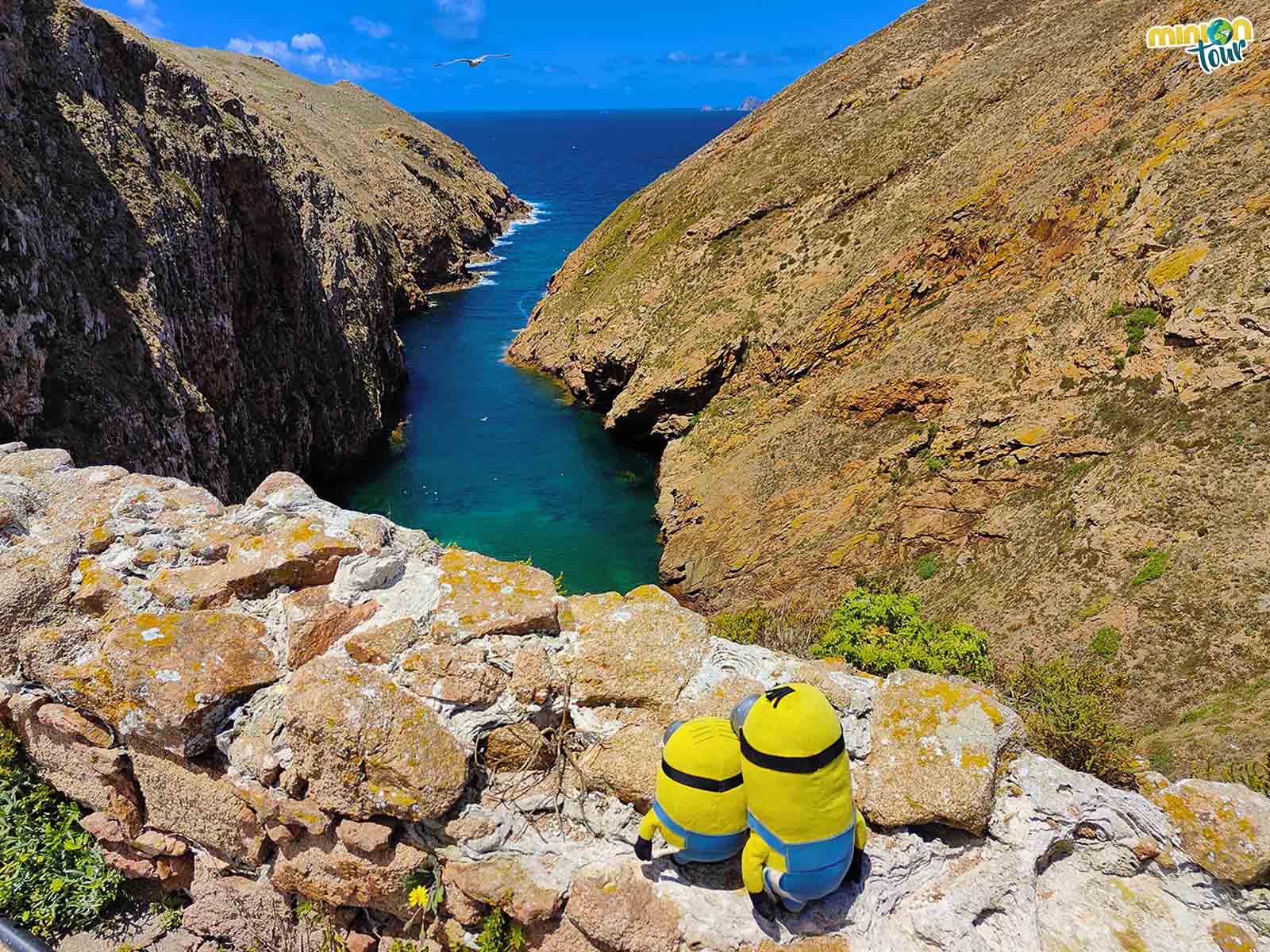 Las Islas Berlengas son una chulada