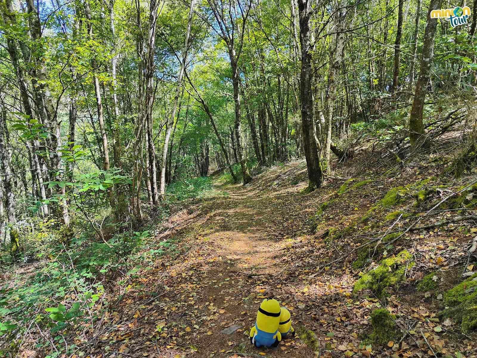 Ruta para llegar a la cueva