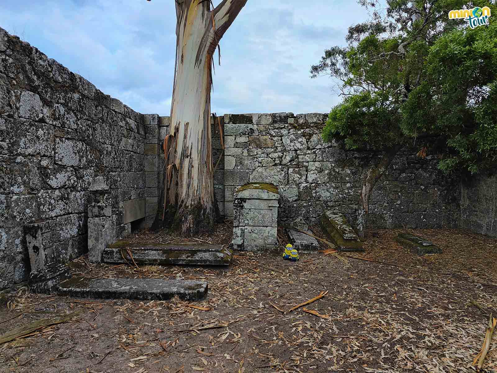 En el cementerio de San Simón hay muy pocas tumbas