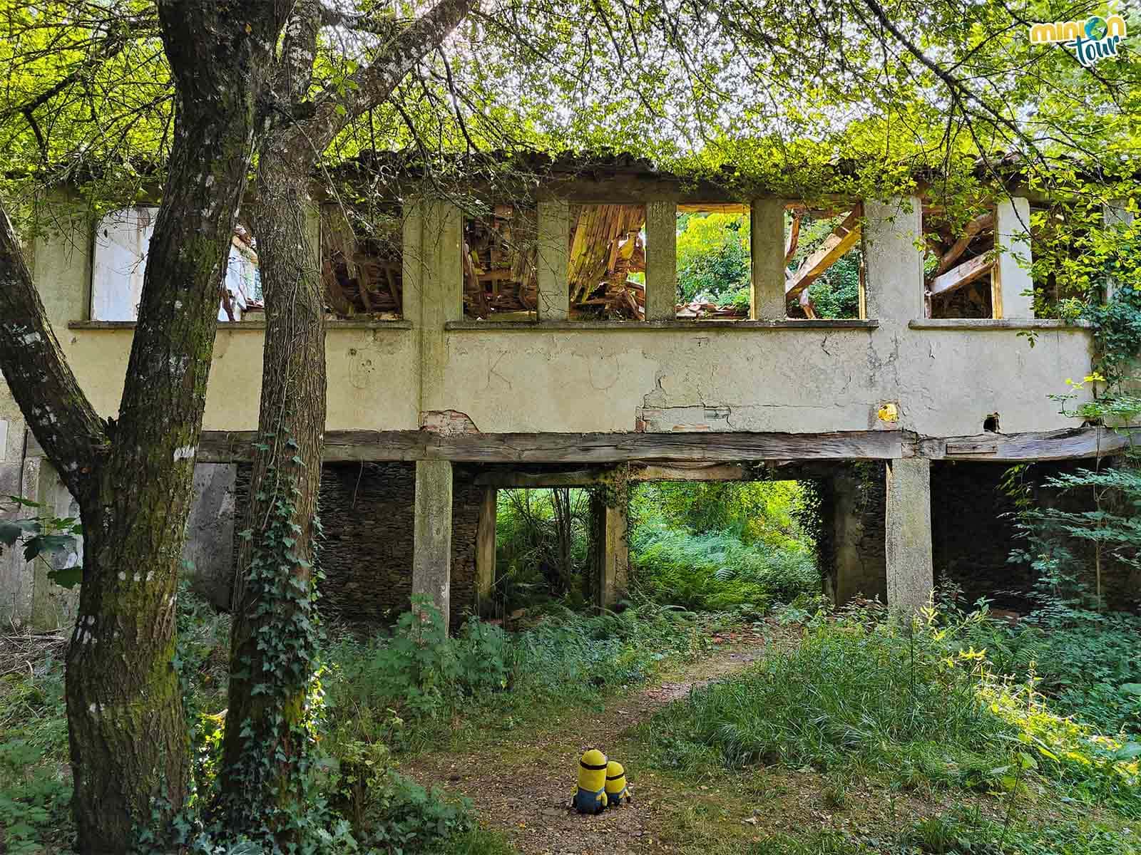 Visitamos los restos del Balneario de Frádegas