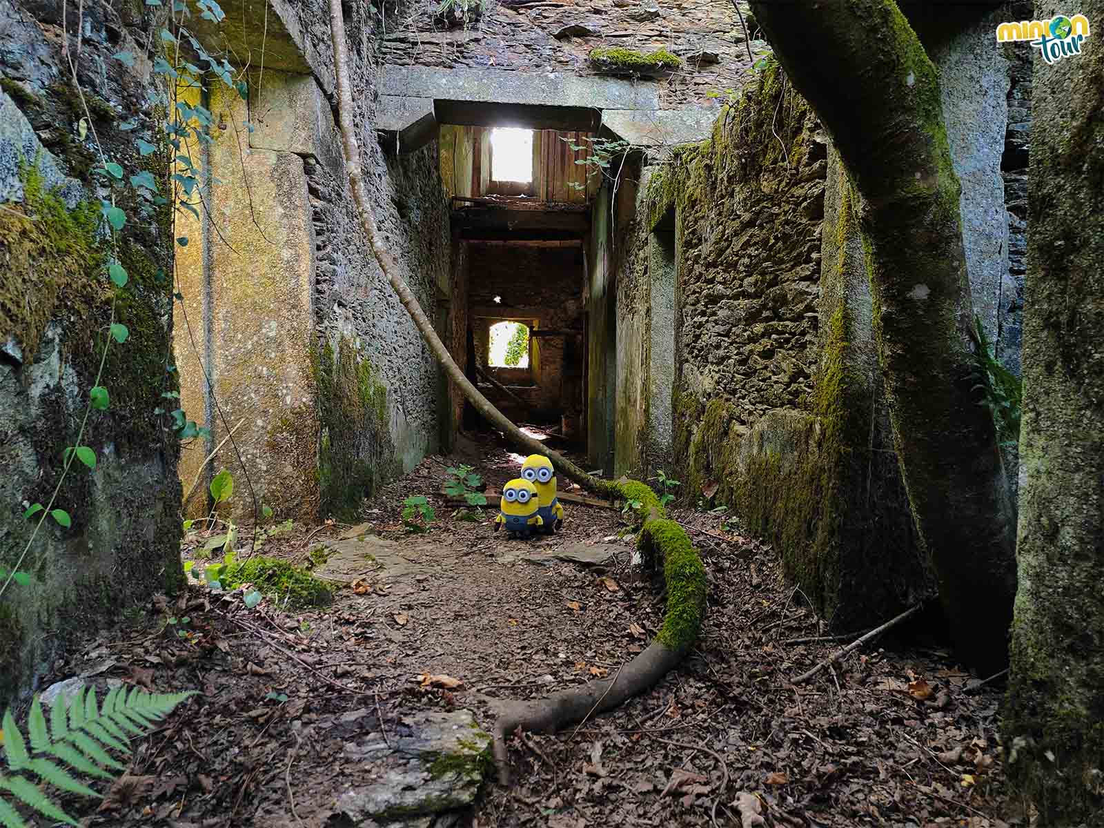 Interior del Balneario de Frádegas