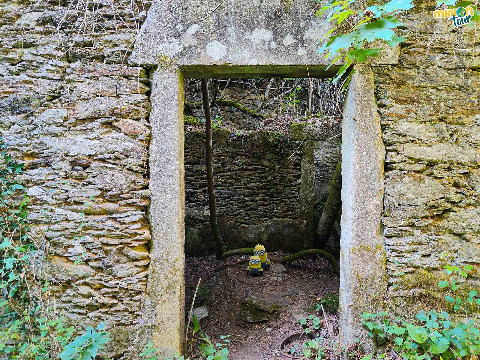 Búscanos detrás de la puerta