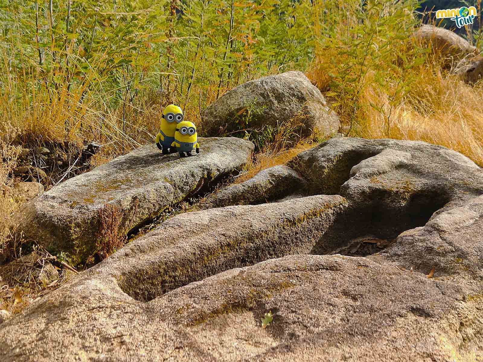 Las Tumbas do Preguntoiro están en la Ribeira Sacra