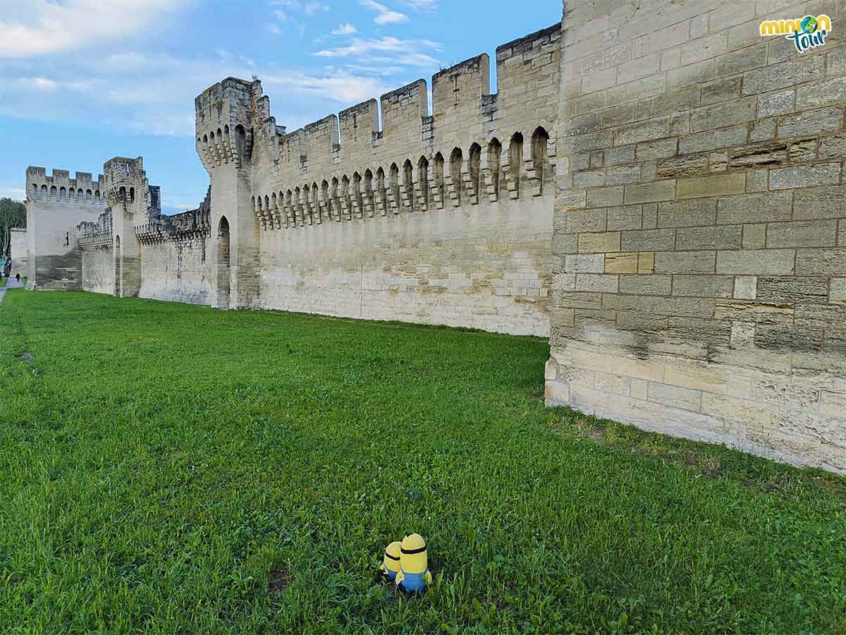 La Muralla de Avignon es una pasada