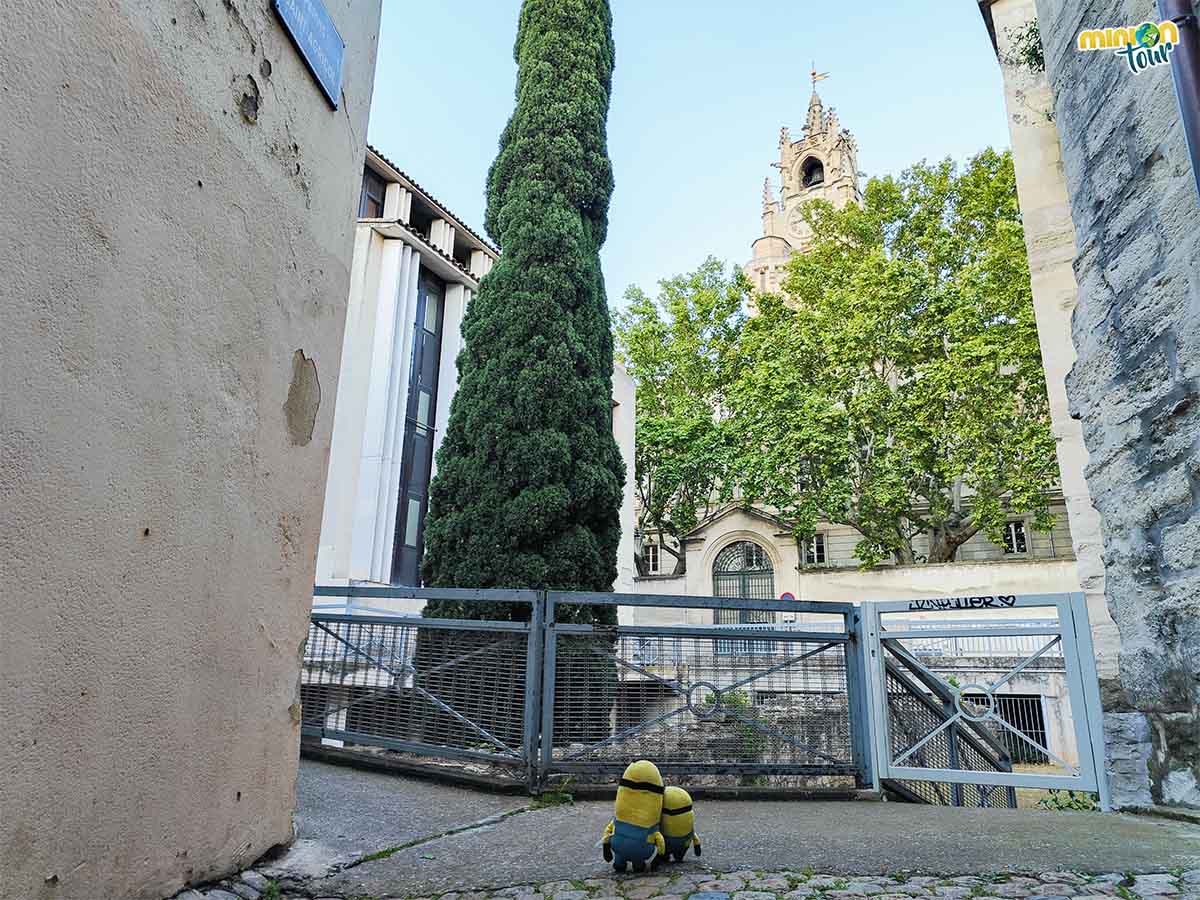 Para ver bien la torre lo mejor es dar la vuelta