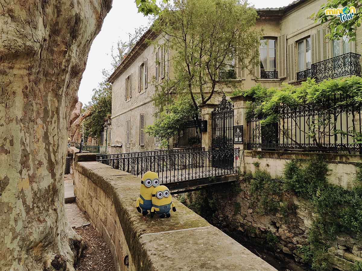 Esta es una de las calles más bonitas que ver en Avignon