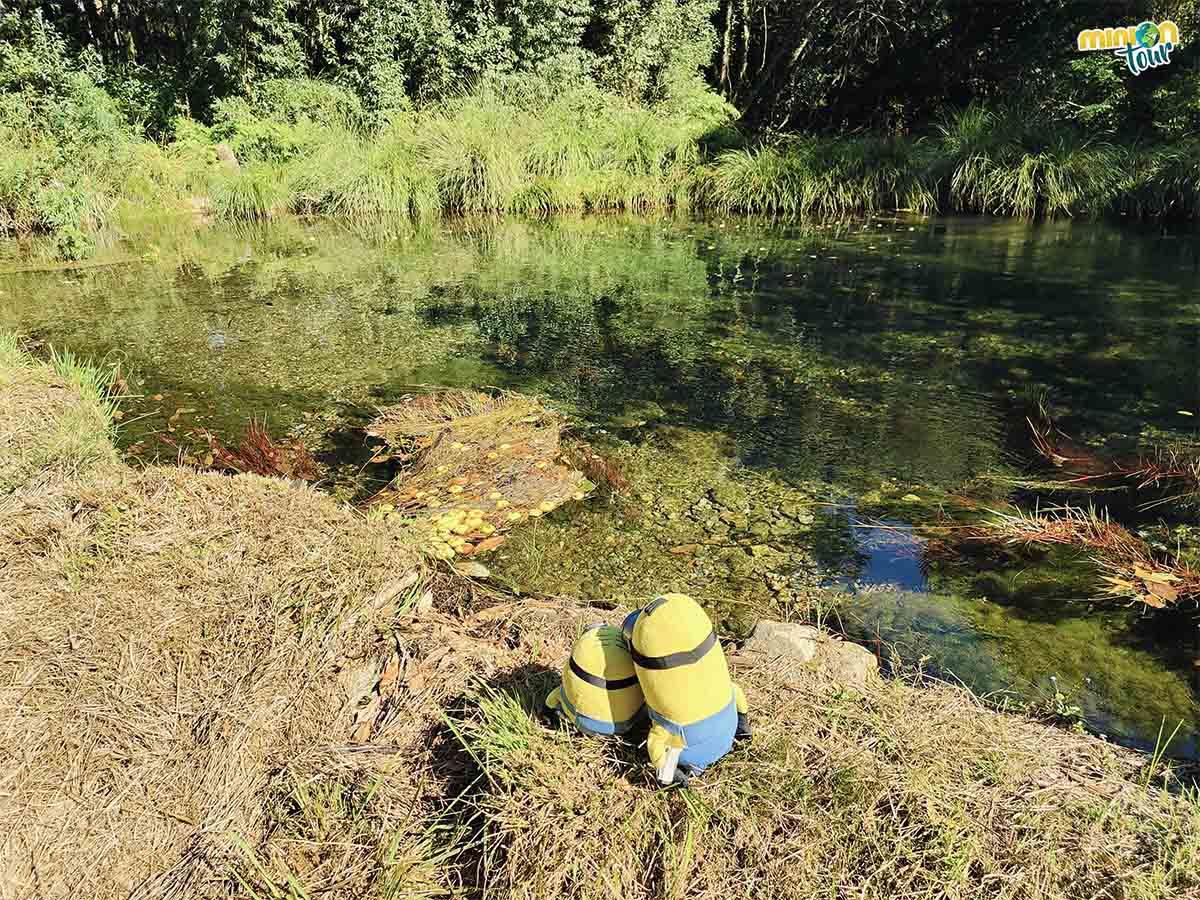 Empezamos saludando a esta laguna tan molona