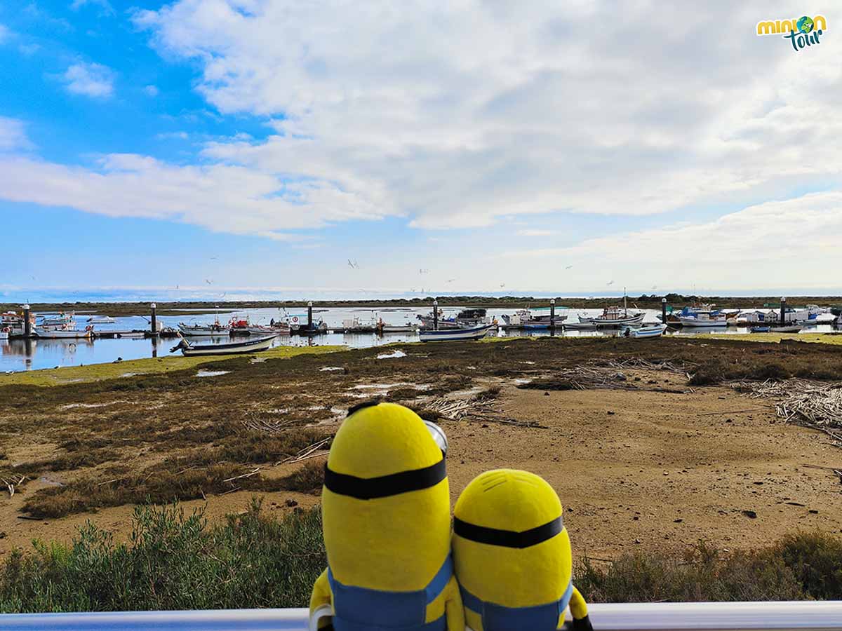 Los Minions visitando el puerto de Cabanas en el Algarve