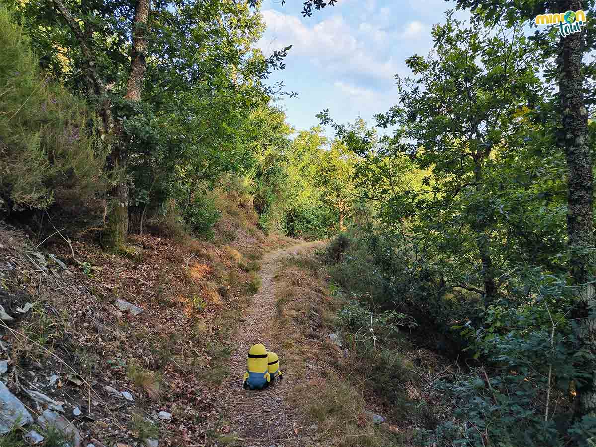 Seguimos caminando para encontrar la otra cascada