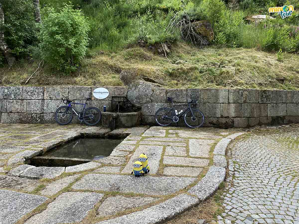 Minions en el nacimiento del río Mondego en la Serra da Estrela