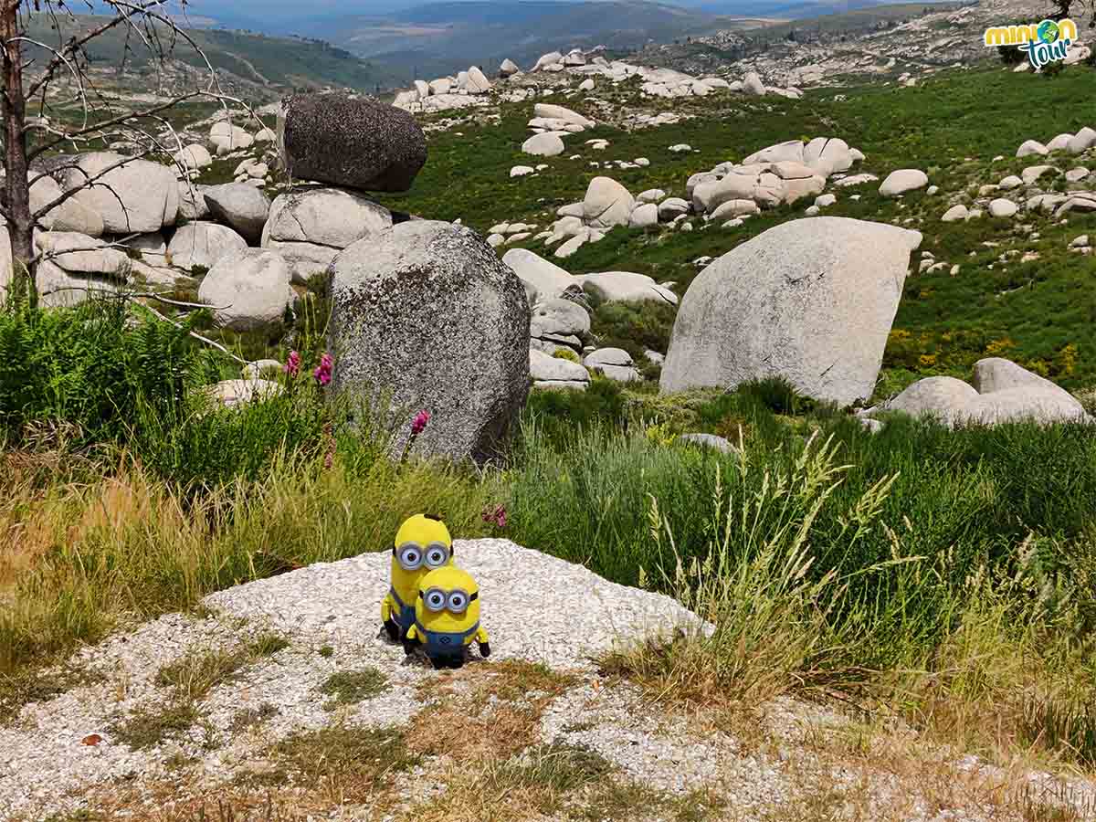 Esta piedra negra es muy curiosa