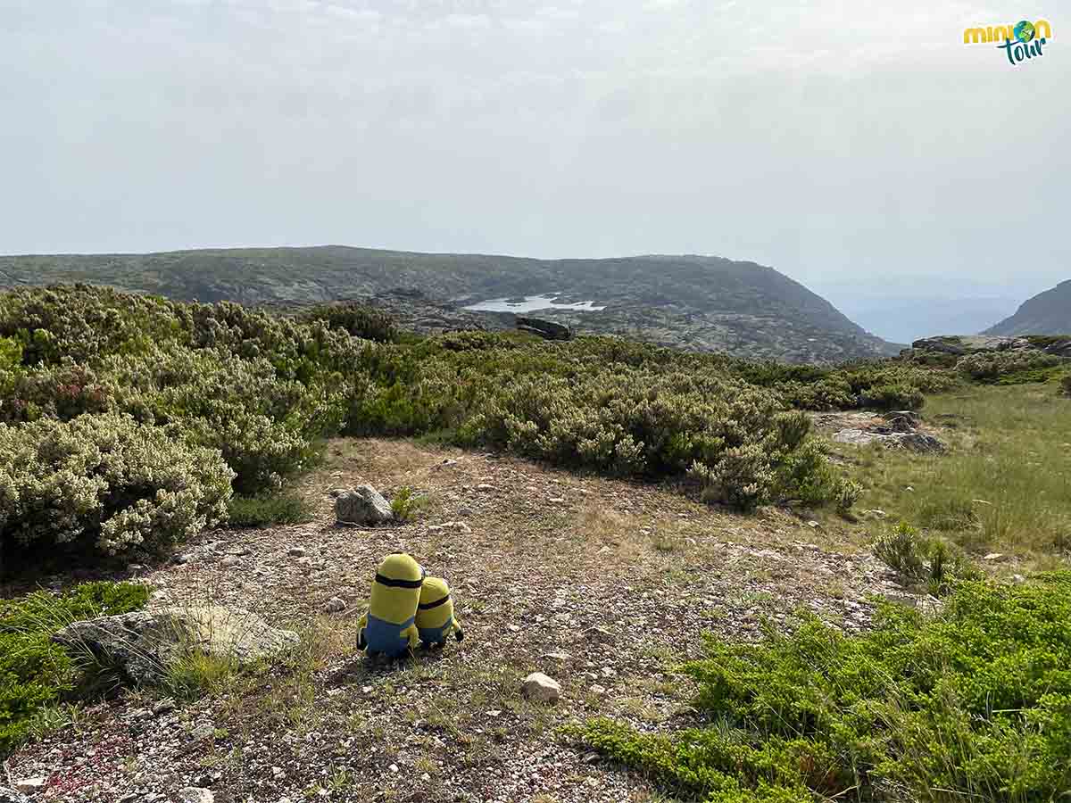 Este es otro de los miradores que no te puedes perder en la Serra da Estrela