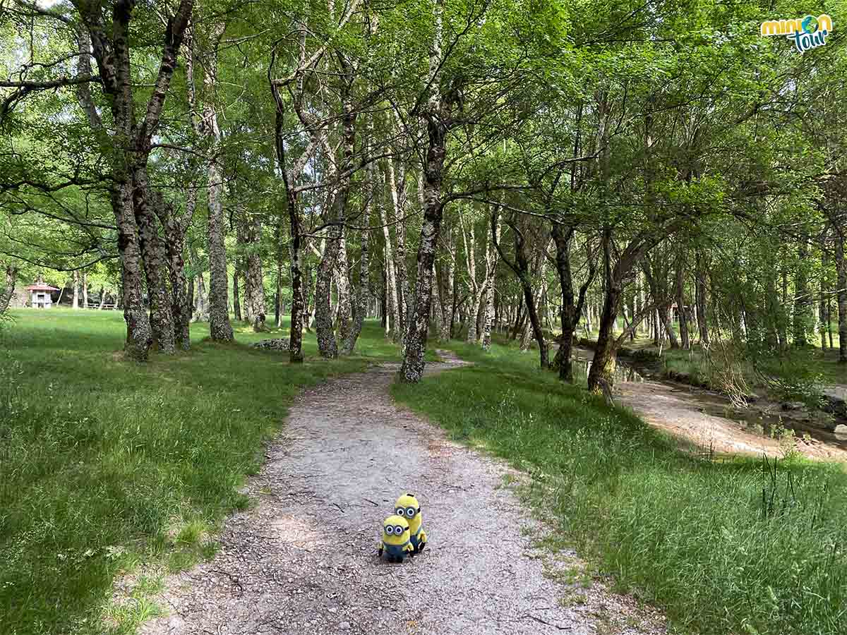 Una paradita en un paisaje idílico