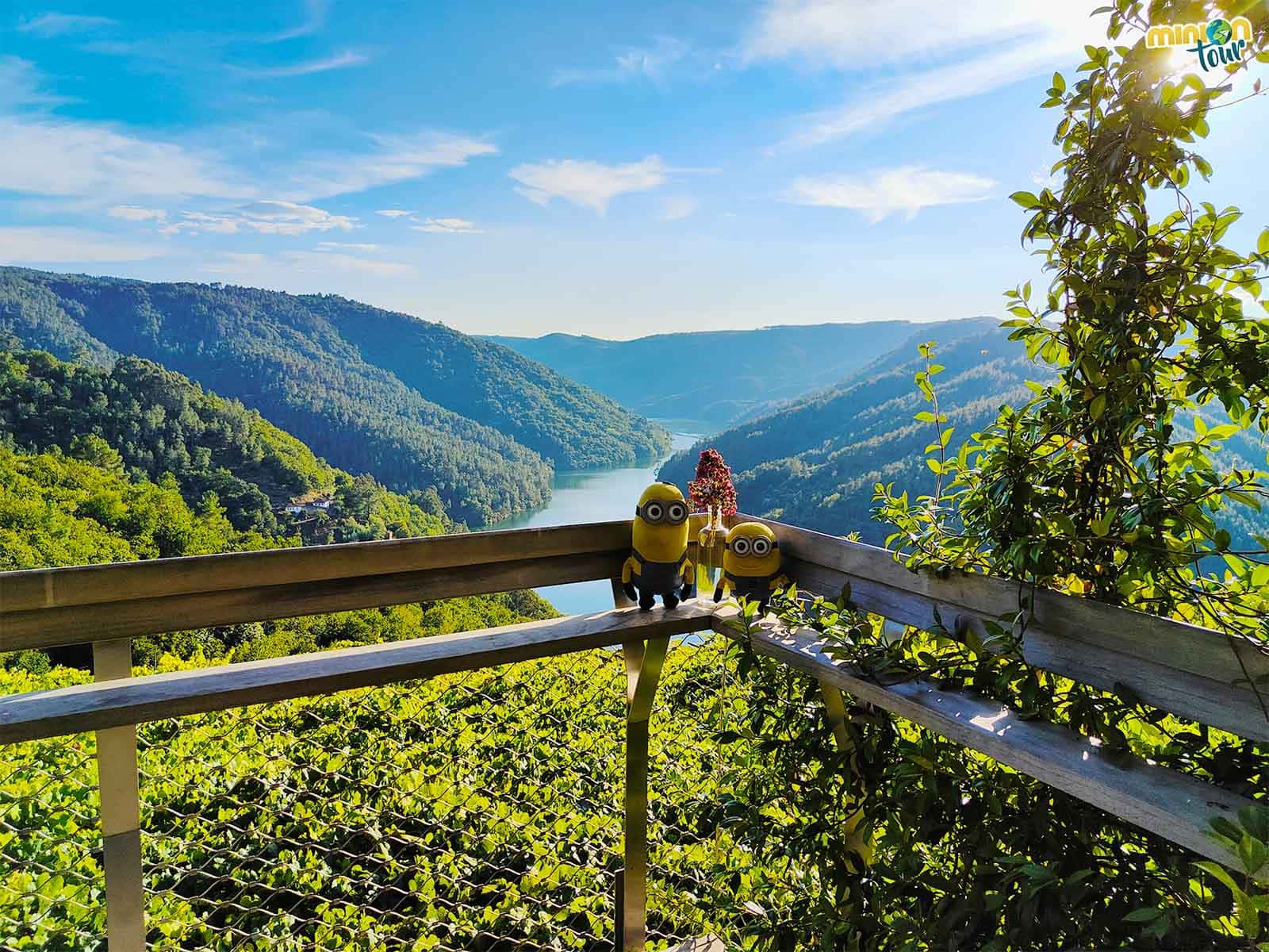 Visita a la Bodega Abadía da Cova, uno de nuestros sitios favoritos en Ribeira Sacra