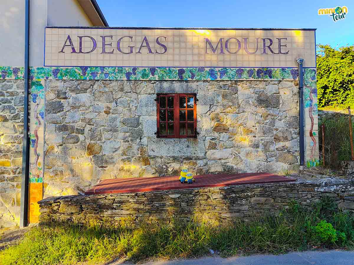 La primera bodega se llamó Adegas Moure