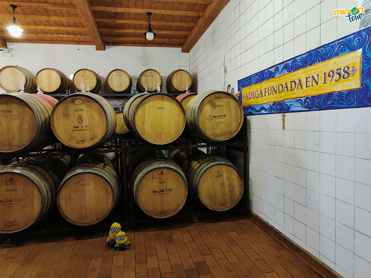 Las Bodegas Moure se fundaron en 1958