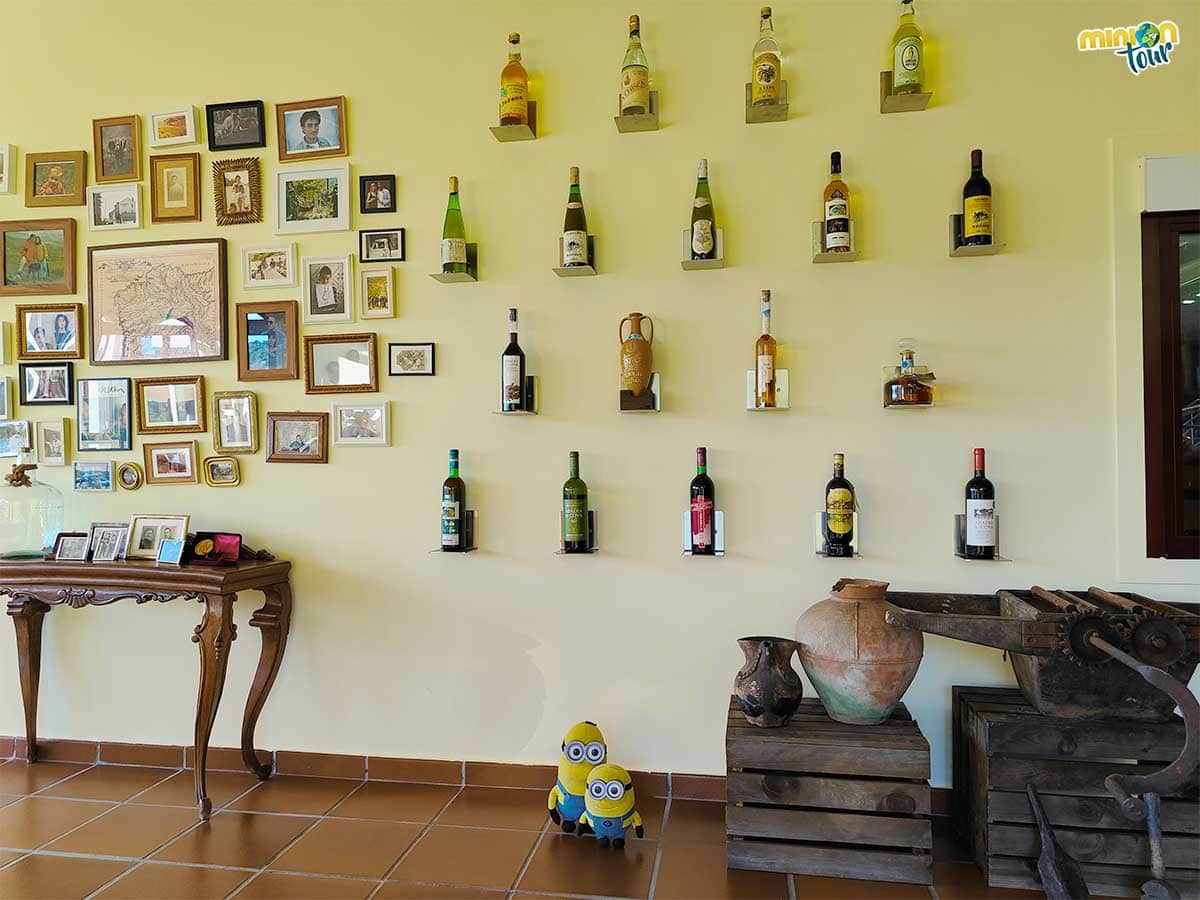 En esta sala guardan botellas antiguas de vinos y licores