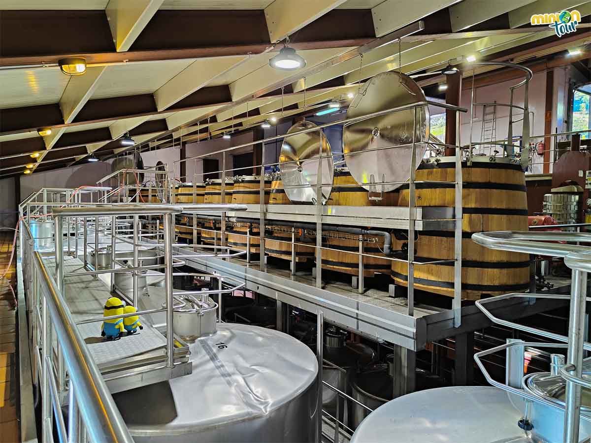 Interior de la Bodega Abadía da Cova