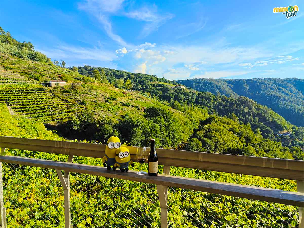 La visita a la Bodega Abadía da Cova acaba con unas vistas de impresión